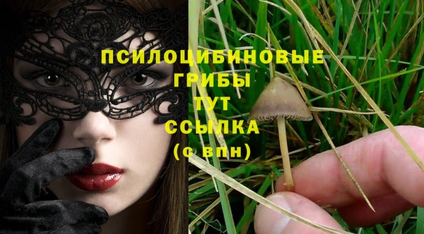 тгк Бородино