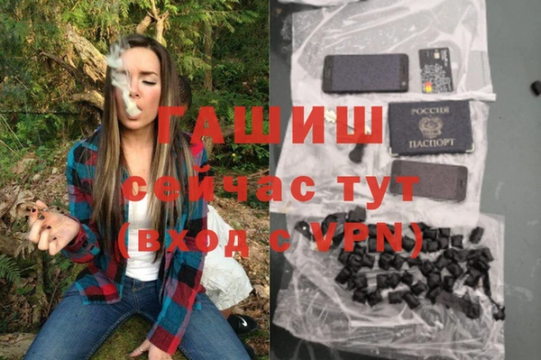 тгк Бородино