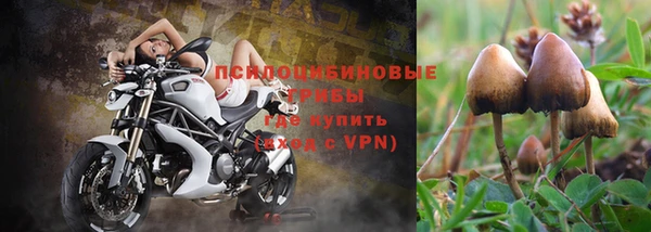 круглые Верхний Тагил
