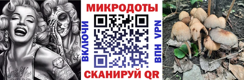 МЕГА рабочий сайт  Луховицы  Псилоцибиновые грибы мицелий 